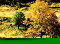 Eb2：成都、稻城亞丁香格里拉13日全景游