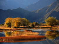 B8：拉薩、珠穆朗瑪峰、古格王朝、神山圣湖20日之旅