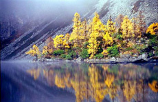 川藏南線成都、稻城、然烏、大峽谷、拉薩12日游