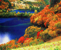 E5：九寨溝、黃龍4日游