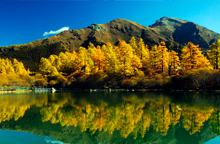 川西金秋成都、九龍、新都橋、稻城亞丁、丹巴9日游