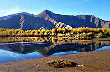 川藏南線：成都、稻城、然烏、大峽谷、拉薩11日游