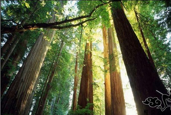 林芝、雅魯藏布大峽谷、日喀則、珠峰九日游