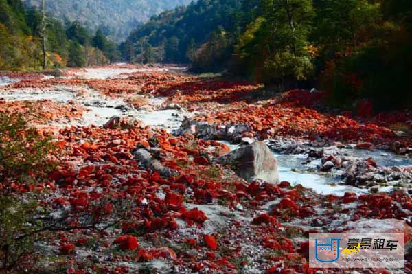 成都租車(chē)公司