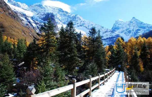 成都租車(chē)公司