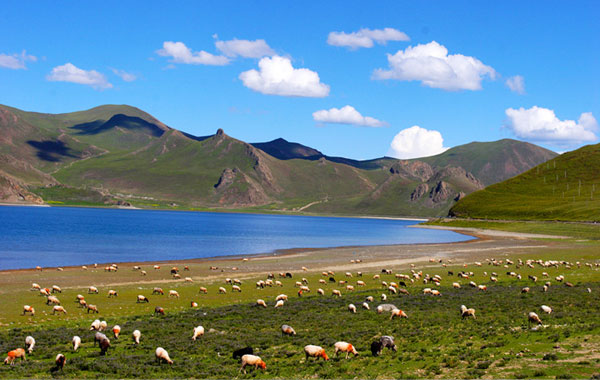 拉薩、亞東、珠峰、日喀則、納木錯9日游