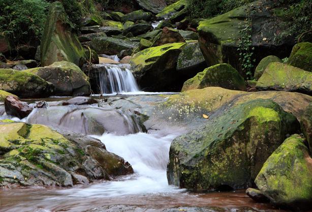 成都租車網(wǎng)薦周末碧峰峽、龍蒼溝二日游