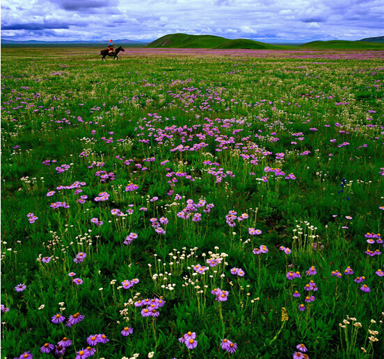 親子游/畢業(yè)游/蜜月游 成都自駕租車(chē)統(tǒng)統(tǒng)不在話下