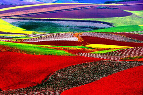 親子游/畢業(yè)游/蜜月游 成都自駕租車(chē)統(tǒng)統(tǒng)不在話下