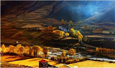 成都租車(chē)自駕游賞秋看這里