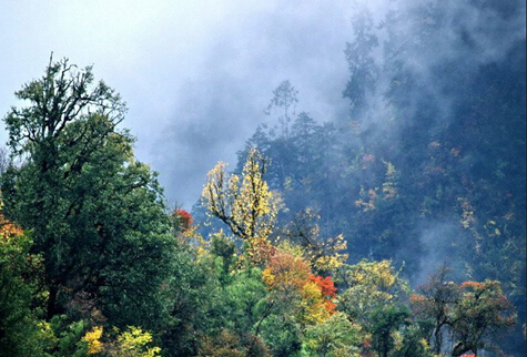 五一節(jié)自駕海螺溝旅游 五一節(jié)自駕海螺溝旅游攻略