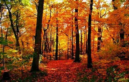 秋游正當時！成都租車旅游選哪一條？