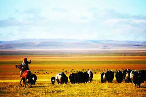 秋游正當時！成都租車旅游選哪一條？